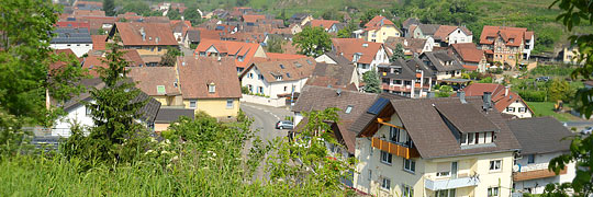 Ortsansicht von Vogtsberg im Kaiserstuhl