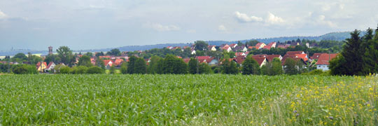 Blick nach Oberdachstetten