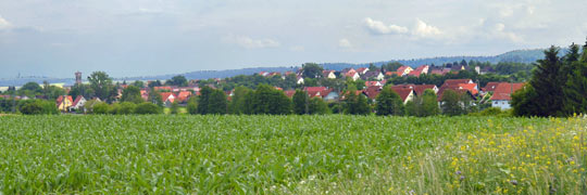 Blick nach Oberdachstetten