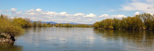 Donaulandschaft nahe Osterhofen