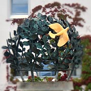 goldene Taube im Brunnengeäst am Stadtplatz