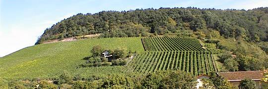 Ebelsbach am Ebelsbach und am unterfränkischen Main
