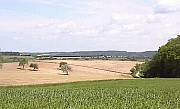 in der Nähe von Geiselwind am Steigerwald im Herzen Frankens