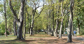 Baumalle zwischen Kurpark und Kureinrichtungen in der Bäderlandschaft Windheims