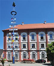 Ständebaum vor dem Neuen Schloss in Neustadt an der Walsnaab