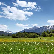 Füssen Hopfensee Bergpanorama © Composer