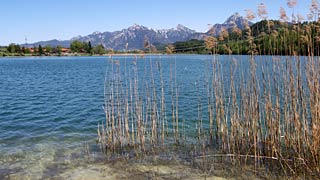 Der Weißensee bei Füssen