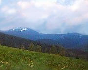 Wo der Bayrische Wald  am höchsten ist, auf dem Großen Arber