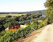 von den Weinbergen auf den Main geschaut - natürlich bei Mainberg