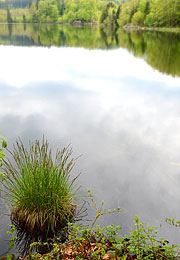 Originalfoto vom Tüttensee Mai 2016