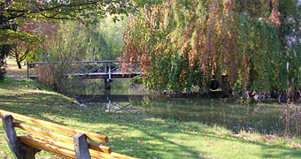 Herbst im Kurpark von Bad Wörishofen