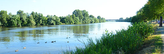 Mainufer bei Flörsheim