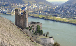 Rüdesheim am Rhein