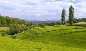 Bad Arolsen Landschaft © Torsten Lorenz