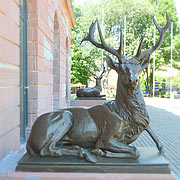 jagdschloss Platte bei Wiesbaden