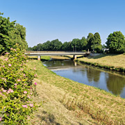 ausgelassene Treiben, Brunnen in Loeningen