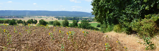 am Gehrdener Berg