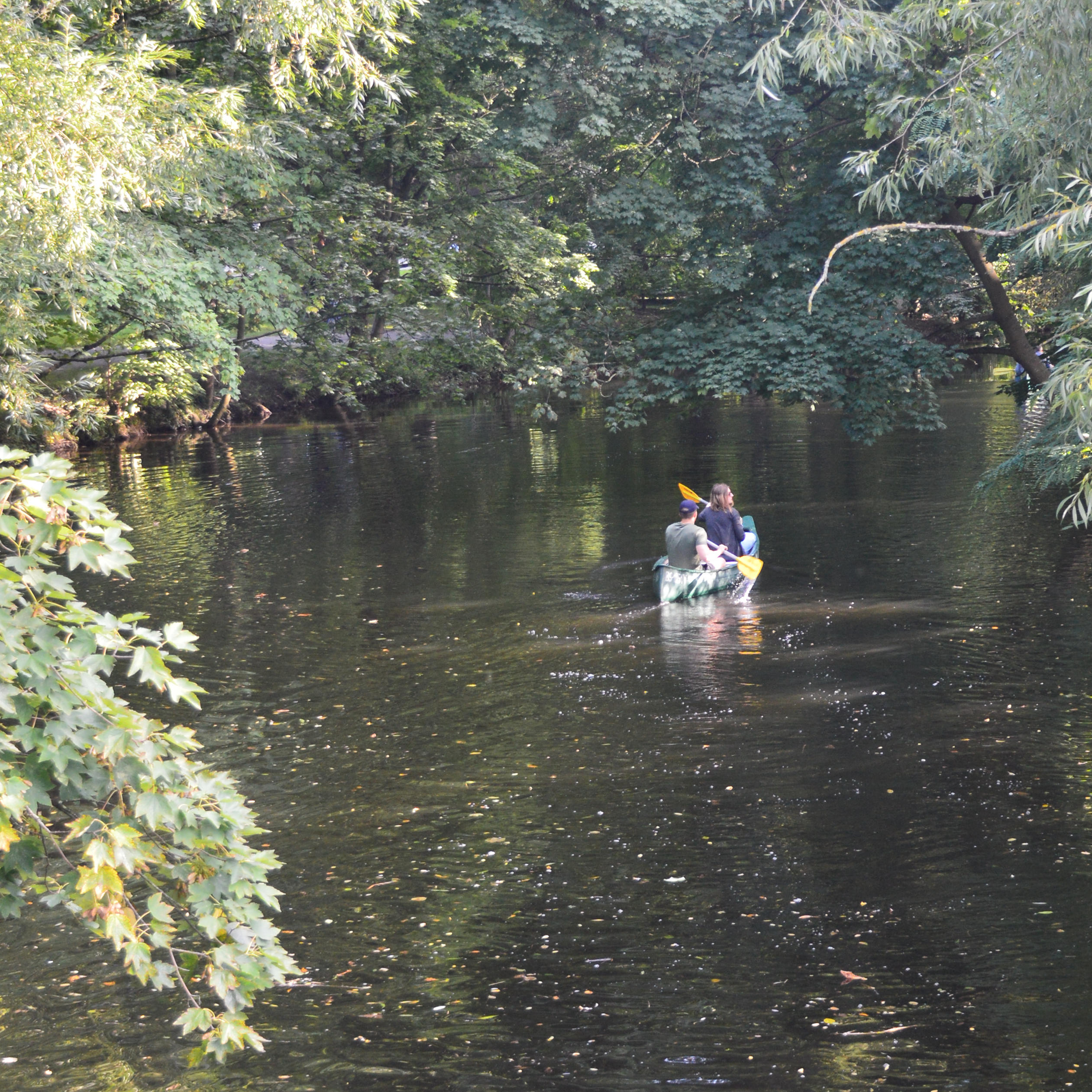 Mam im und auf dem Maschsee, Hannover
