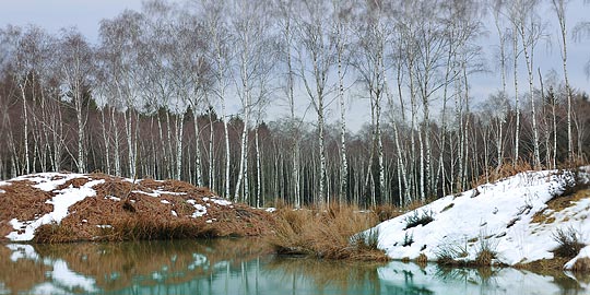 Hohes Venn Naturpark Hochmoor Nordeifel © Matthias Krüttgen