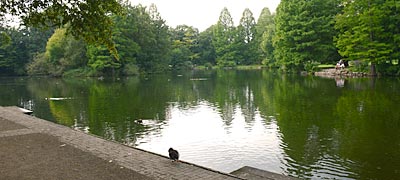 Stadtpark Teich Gütersloh