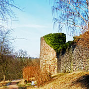 Burg Blomberg