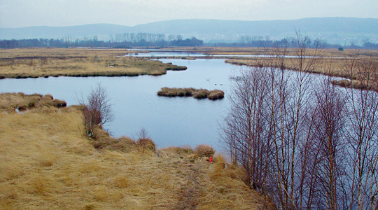 Hiller Moor bei Minden