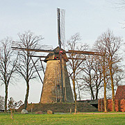 Wallholländer am Ochtruper Berg