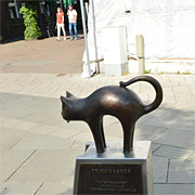 Kater Rumskedi