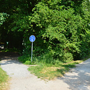 Am Scheideweg vor dem Geisterholz