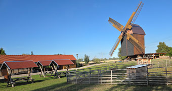 Spergauer Mühle und mehr gastronomisch Ländliches