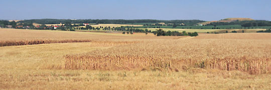 Das Okrillaer Land ist Bauernland