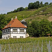 Radebeul, Weingut Hoflößnitz, Sachsen © AndreasJ