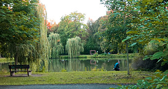 an den Schöppenteichen