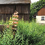 Viel Arbeit und viel Heimatliebe. Ein privates Museum entstand im alten Bauernhof.