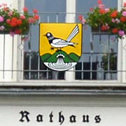 Elster am Rathaus