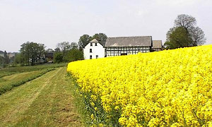 viel landwirtschaft beidseits der Oberneumarker