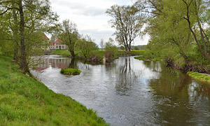 Grünefelder Park, Zwickauer Mulde