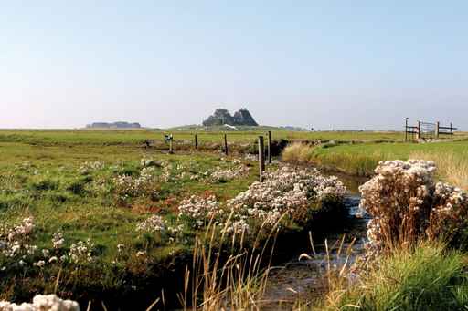 Hallig Hooge © hansrai