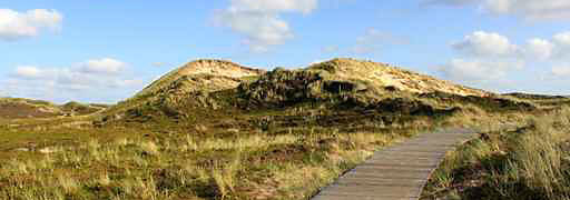 Sylt Dünenlandschaft © blende40