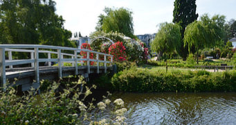 Rosarium und Hochzeitsinsel in Uetersen