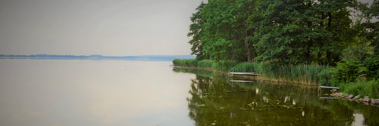 Sommerabend am Wittensee