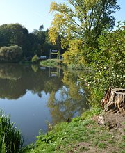 Reinbek, Mühlteich