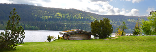 Titisee-Neustadt, Titisee