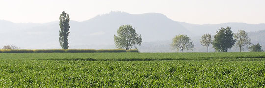 Owen, vor der Burg Treck