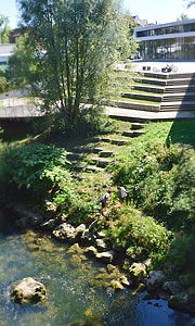 Filsufer an der Stadthalle in der Südstadt