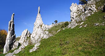 Herbrechtingen Eselsburger Tal, Schwäbische Alb, Steinerne Jungfrauen © Christian Pedant
