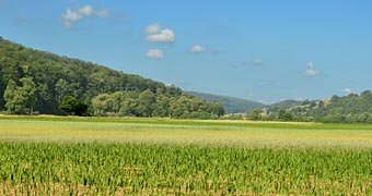 am Albuch bei Steinheim