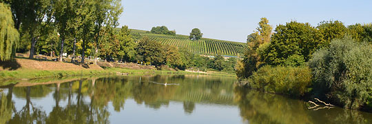 Löwenstein