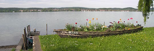 Reichenau/Bodensee © fotobee galerie, Bernd Schuldes