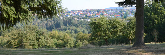 Blick auf Hardtheim